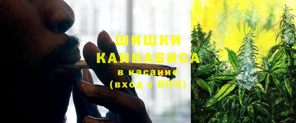 Альфа ПВП Бородино